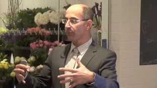 Dr Gidon Frame: How does SELPHYL work?