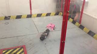 Bugglebots Street Fight - Hello There! vs Rev 4