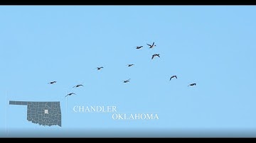 2019 DU TV Episode 9