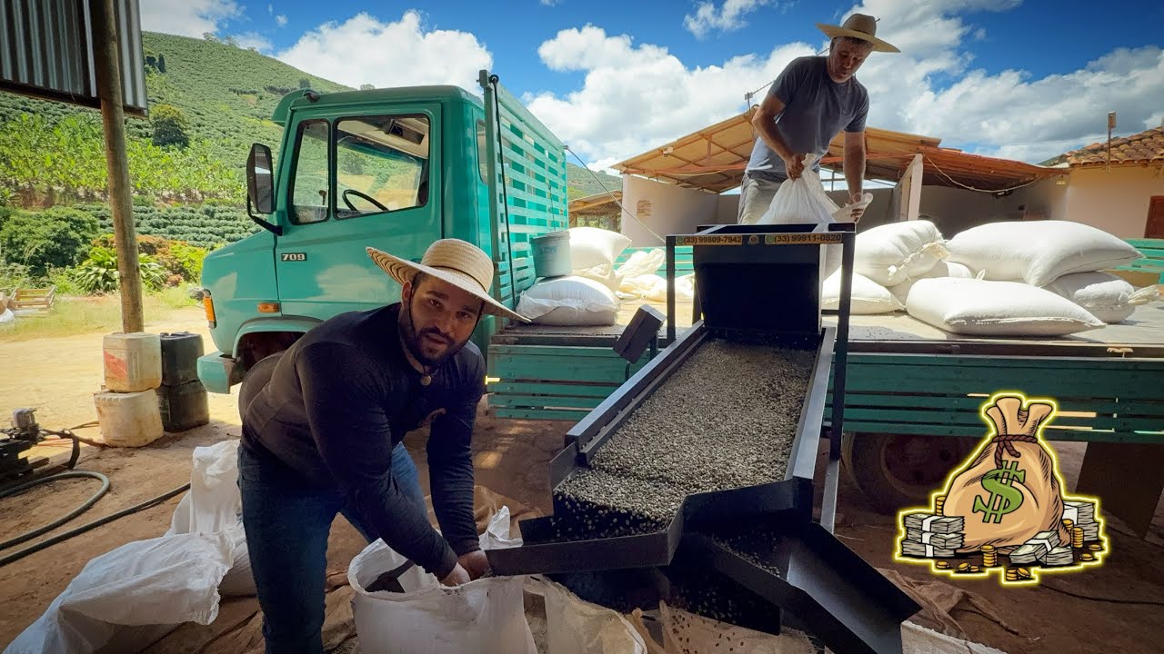 MÁQUINA DE CLASSIFICAR POR TAMANHO 