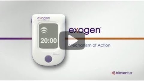 EXOGEN Mechanism of Action (us)