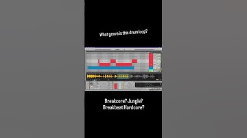 What genre is this loop? #breakcore #jungle #breakbeat ?