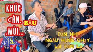 Ngẫu Hứng Chạy Lái Đàn Nhị Khác Lạ-Độc Huyền Cầm Mùi Mẫn cùng Trống…| Âm nhạc Vùng Quê #trilamnong