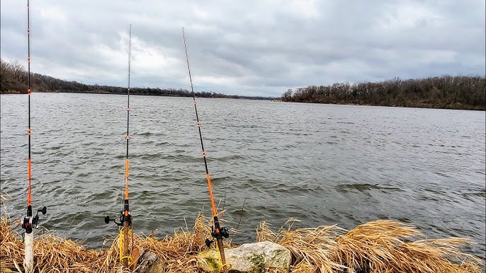 The BEST RIG for COLD WATER Catfish!! (I could barely keep a rod in the  water) 