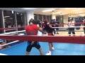 sparring monster vs eagle eye