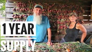 MY BIGGEST ONION HARVEST | Curing Process