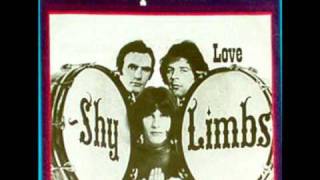 Shy Limbs - Reputation chords