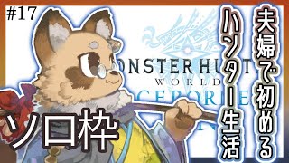 【#MHW /参加型】#17 ０から始めたMHWI～ランス縛り 導きの地レベル上げ  【#Vtuber / #えん結び/モンハン 】
