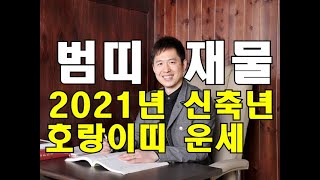 명리학으로 본 2021년 신축년 호랑이띠 운세(62년, 74년, 86년, 98년, 10년생)#명리학 #명리학…