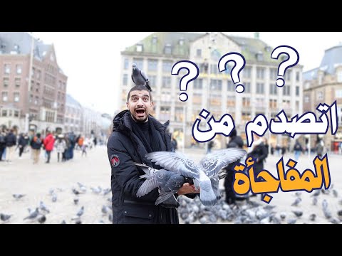 فاجئتني في عيد ميلادي ال٣٣