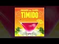 Paranoic, Glaceo - Timido (Stereo Hearts Remix)🇮🇹