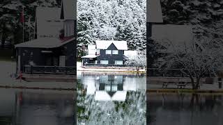 Böyle Bir Evde Yaşamak Istermiydin?