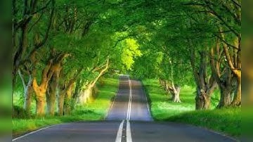 سورة  البقرة بصوت القارئ احمد المطري