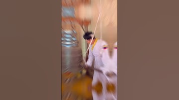 KỆ CHUÔNG ĐẠI ĐÀN TRUNG NGƯƠN| #2024 #daidaotamkyphodo #toathanhtayninh #xuhuong #vlog #2quavlog