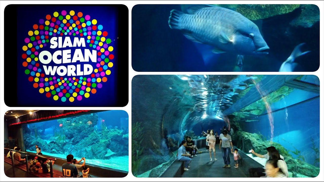 Siam Ocean World Video Tour
