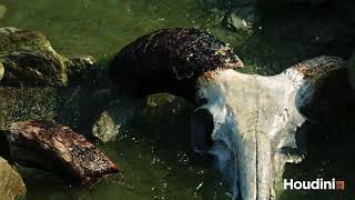 River Water Simulation with SFX | Houdini