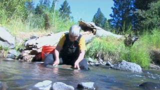 New gold rush prospectors