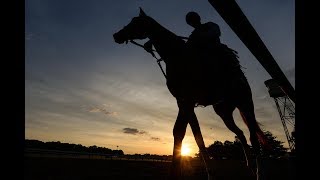 Why horses are dying at U.S. racetracks at an alarming rate