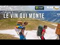 Franois dhaene  beaufortain  le vin qui monte  s6