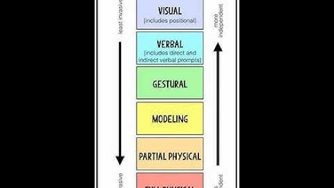 Prompt Hierarchy Training Video- Sean Prizio