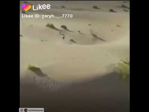 ياابن ادم انت الذي ولدتك امك باكيا والناس من حولك يضحكون