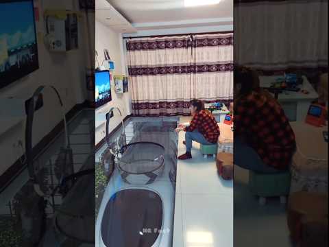 घर के अंदर ट्रेन कहा से आ गया 🤯🥵#Catsoftiktok#CatLovers #cat #cute #FunnyCats#catcartoon#fyp#shorts