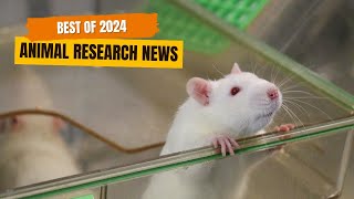 6 Medical Breakthroughs Involving Animal Research in 2024 Net Worth