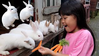 Kasih Makan Bayi Kelinci Lucu Mungil Domba - Mengenal Binatang Lucu untuk Anak