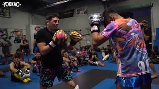 SPARRING time: MMA fighters (UFC) Vs Saenchai & Superlek | YOKKAO Muay Thai Seminar USA TOUR