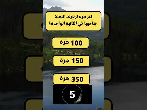 سؤال وجواب كم مره ترفرف النحلة في جناحيها في الثانية الواحدة معلومات عامة اختبر ذكائك سؤال وجواب