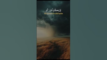 #تلاوات #قران #تلاوة_هادئة #قران_كريم #اكسبلور #المصحف #راحة_نفسية