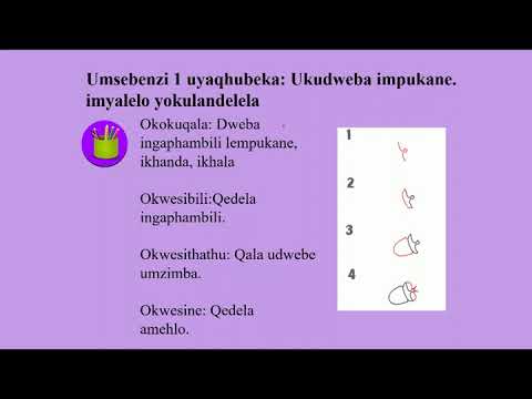 Izinambuzane IsiZulu Gr3 LS D7