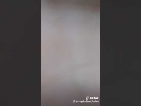 قم نادي على الصعيدي وابن اخوك البورسعيدي