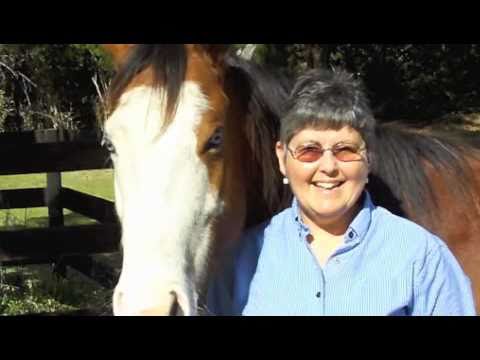 funny-horse-smiling-at-owner