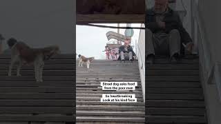 HEARTBREAKING! Street dog asks food from the poor man.