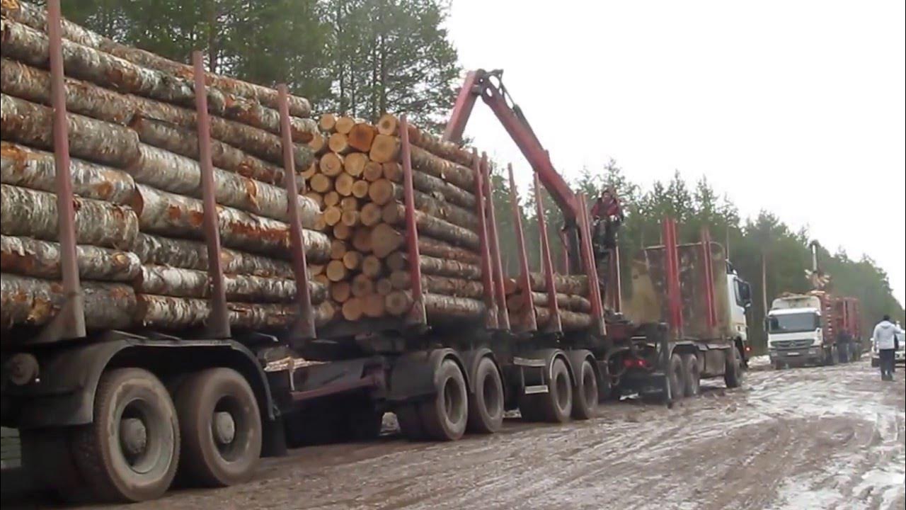 лесовоз архангельск. камаз 43118 фискарс сортиментовоз. урал лесовоз с роспуском. как начать работать на лесовозе. Volvo l120 разгрузка лесовозов.