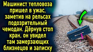 Машинист тепловоза увидев на рельсах что-то подозрительное, дернул стоп кран...