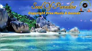 Soul Of Paradise - Nature || Copyright Free Music & Sounds || #CFMS || [No Copyright] free music