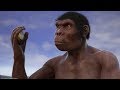 Evolution from ape to man. From Proconsul to Homo heidelbergensis