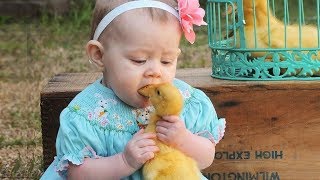 Adorable Babies and Ducks become best friends ★ Funny Video by Funny Everyday 6,562 views 4 years ago 3 minutes, 50 seconds