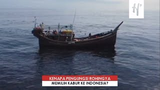 [STORI] Kenapa Pengungsi Rohingya Kabur ke Indonesia?