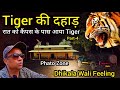 Tiger          tiger  dhikala wali feeling  phato zone wildlife tiger