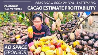 Magkano ang Gastos at Kikitain sa Pagtatanim ng Cacao? - Cacao Farming Profitability #12 screenshot 5