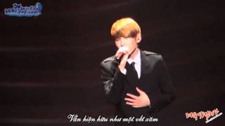 [Vietsub] [SuJu team @ 360kpop] 110212 KRY Concert in Seoul RyeoWook Smile Again