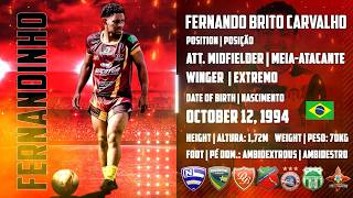 FERNANDINHO ⚽ Attacking Midfielder | Winger (Meia-Atacante | Extremo) ⚽ Highlights 2026