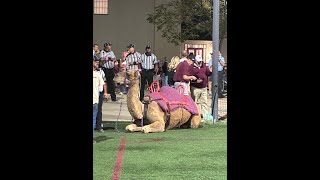2025 Week 7 Between The Lines Podcast