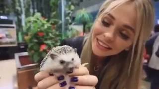 Анна Хилькевич гладит киску в контактном зоопарке! Анна Хилькевич гладит киску в контактном зоопарке!