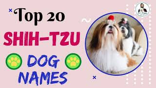 Top 20 Dog Names | Names for Shih Tzu | Dog Channel | Dog Name New | #Unique #Dog #Names #puppy
