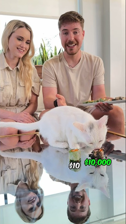 Feeding A Cat $10 Vs $10,000 Sushi