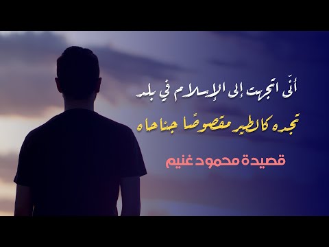 قصيدة أن ى اتجهت إلى الإسلام في بلد تجده كالطير مقصوص ا جناحاه